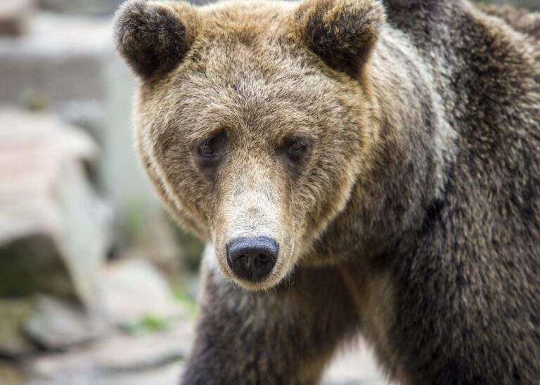 baking infoguide fhthrecipe