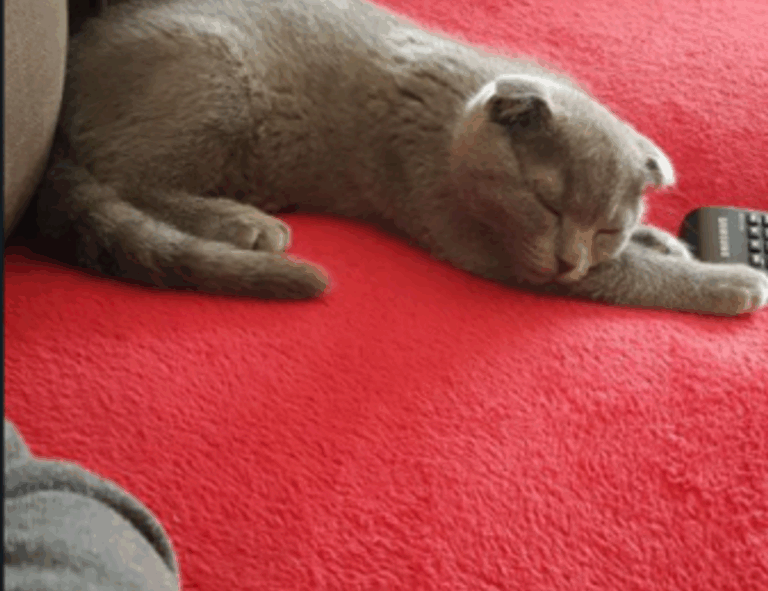 cooking recipes cwbiancarecipes