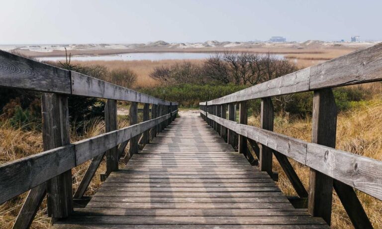 details of gdtj45 builder software