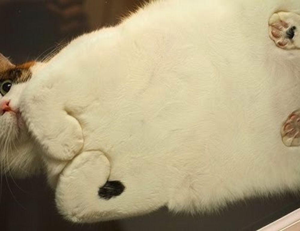 fhthblog quick recipes from fromhungertohope