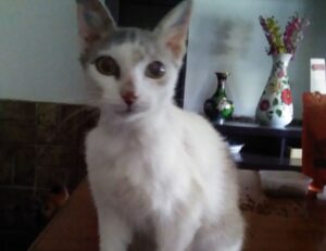 fhthrecipe healthy snack guide from fromhungertohope