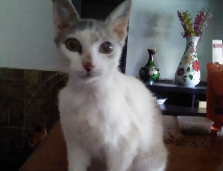 fhthrecipe healthy snack guide from fromhungertohope