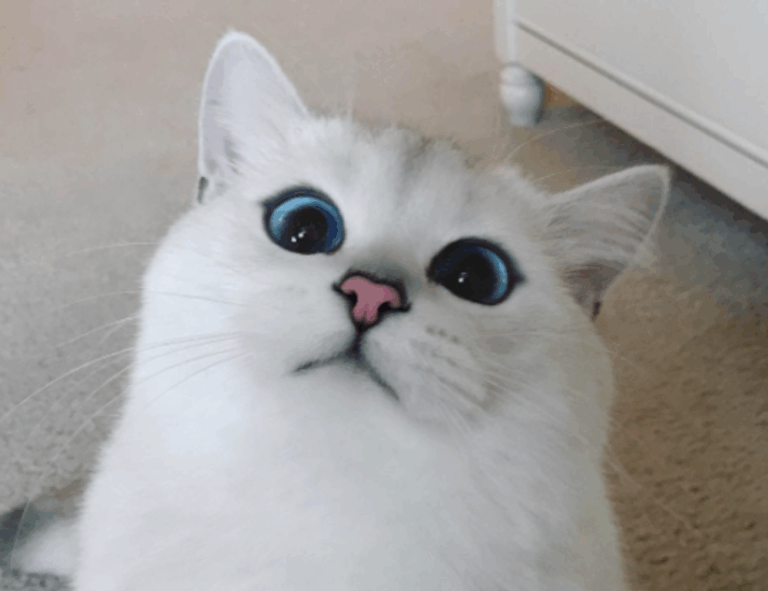 food infoguide fhthrecipe