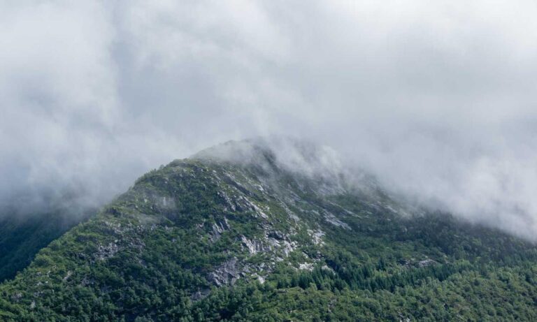 food named nummazaki