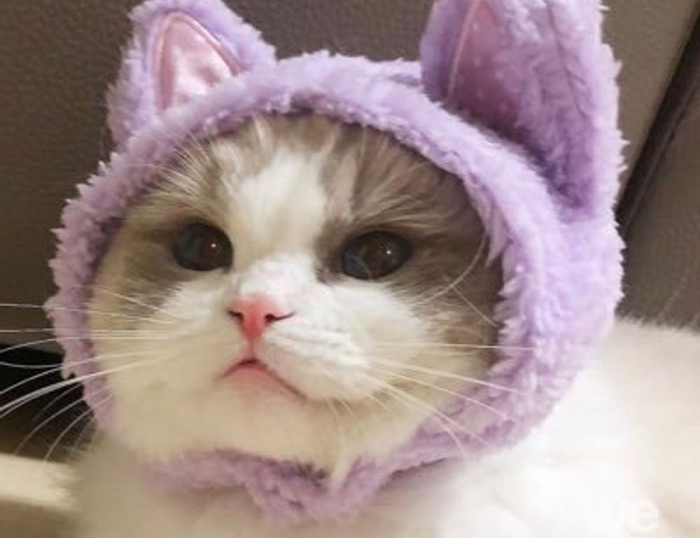 food trends heartarkable