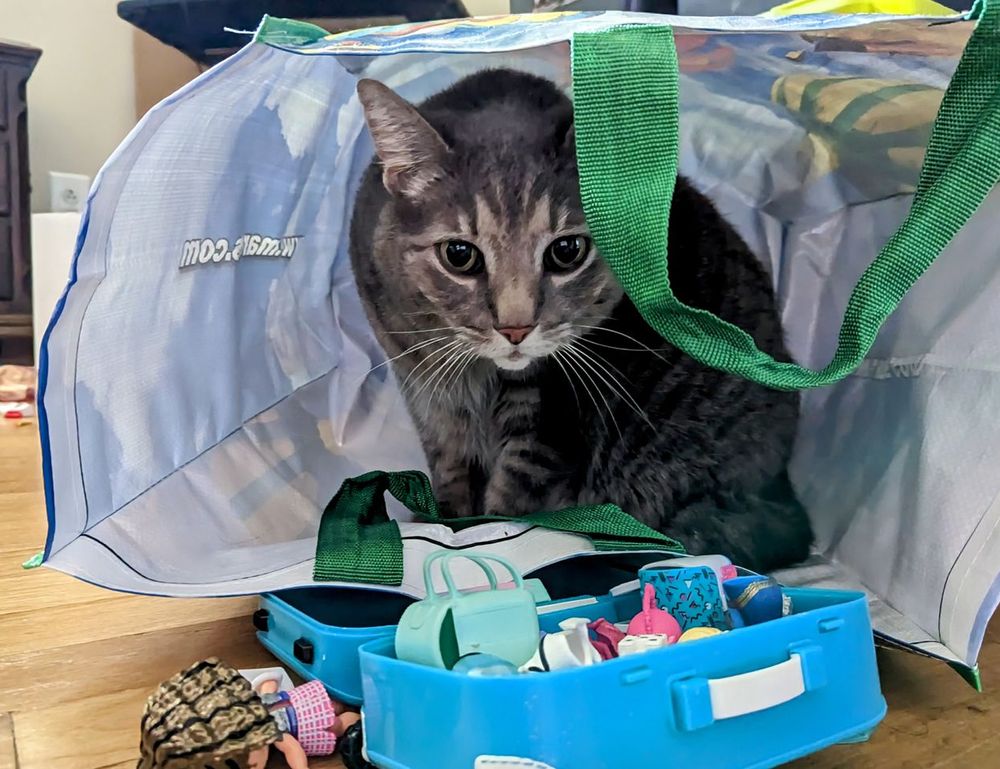 foods that stay good some time after expiration date fhthgoodfood