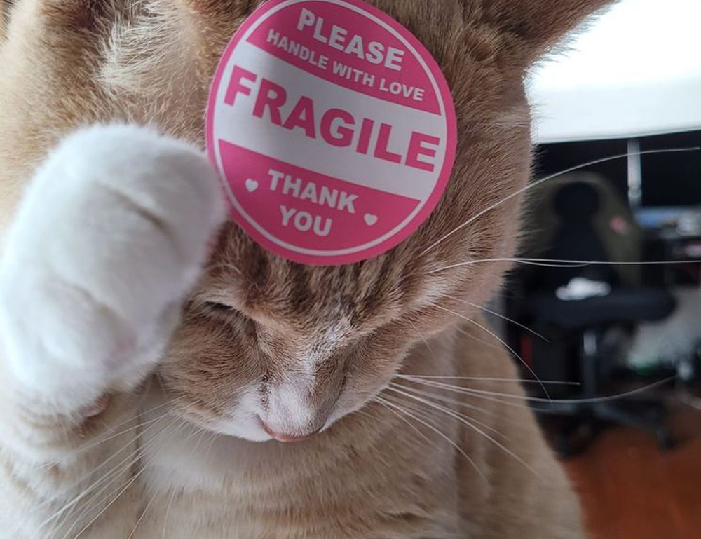 frying guide cwbiancarecipes