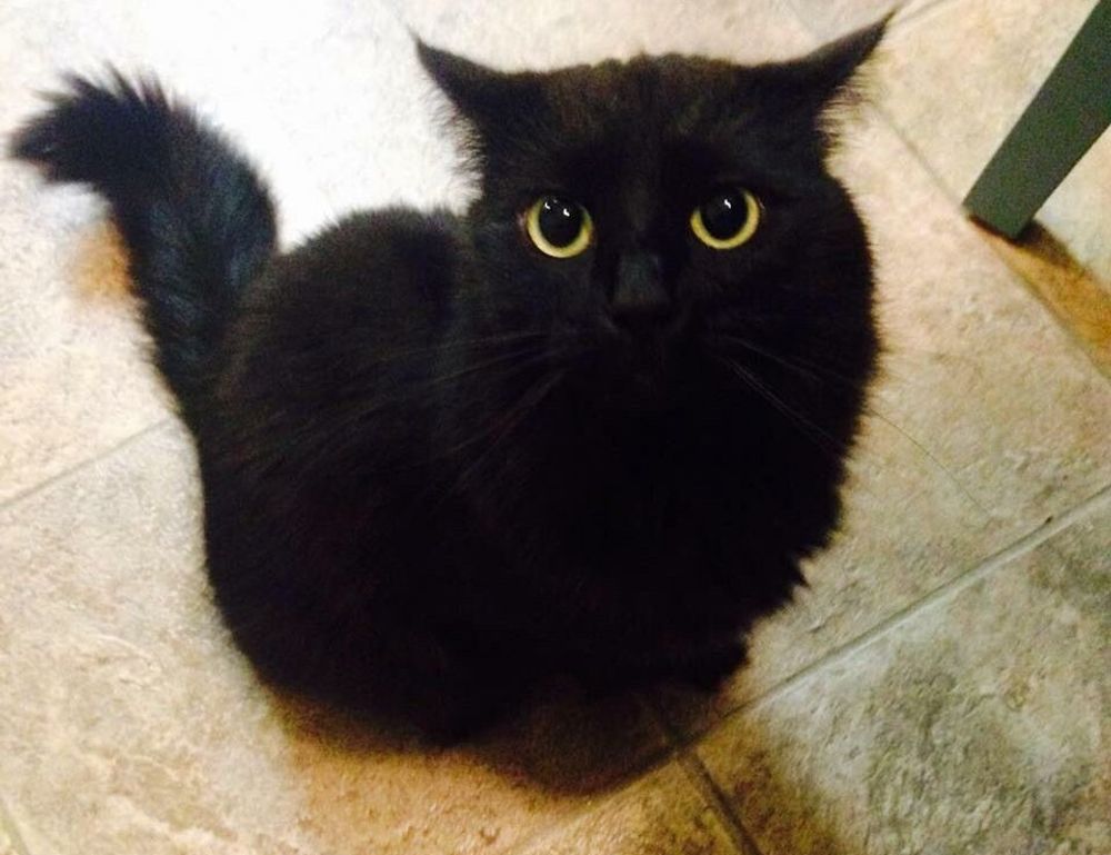 global cuisine tbfoodtravel