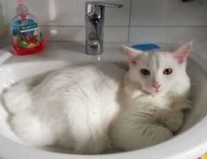 global recipes tbfoodtravel