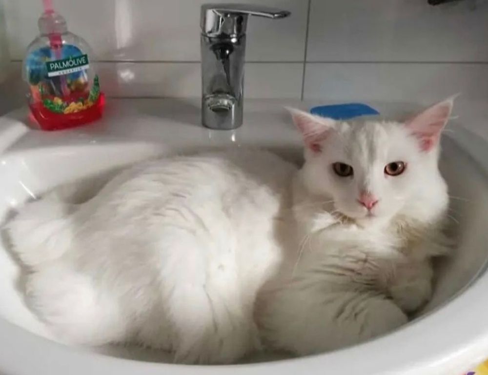 global recipes tbfoodtravel