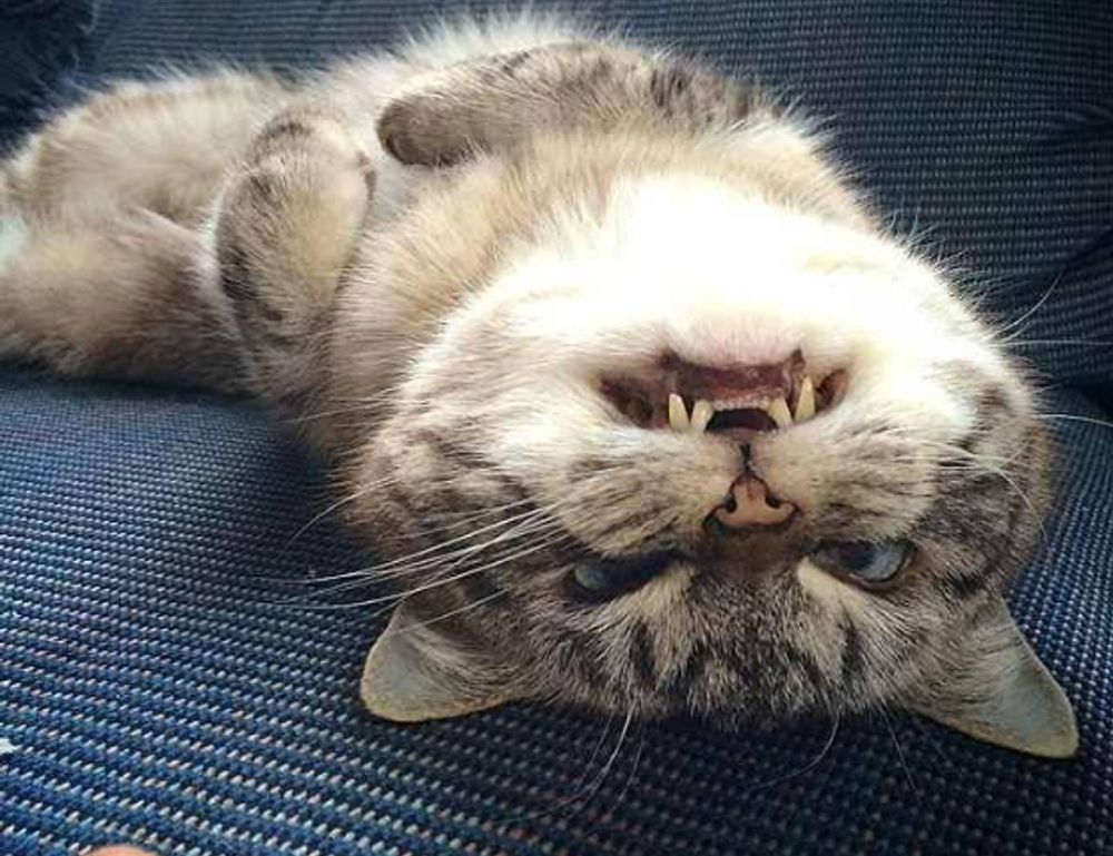 healthy snacks fhthgoodfood