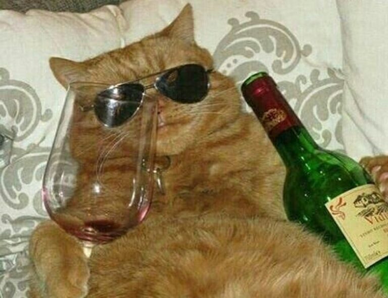 heartarkable cooking guide from homehearted