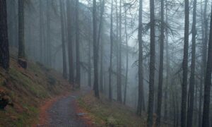 heartarkable easy recipes by homehearted