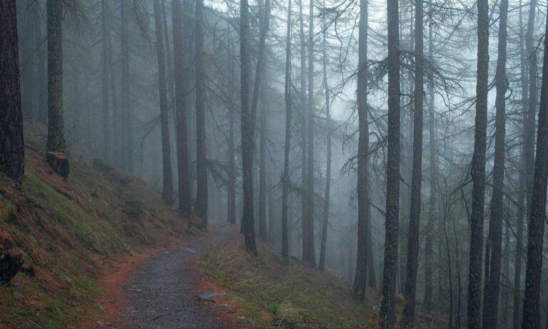 heartarkable easy recipes by homehearted