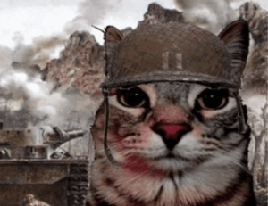 highlights of nummazaki