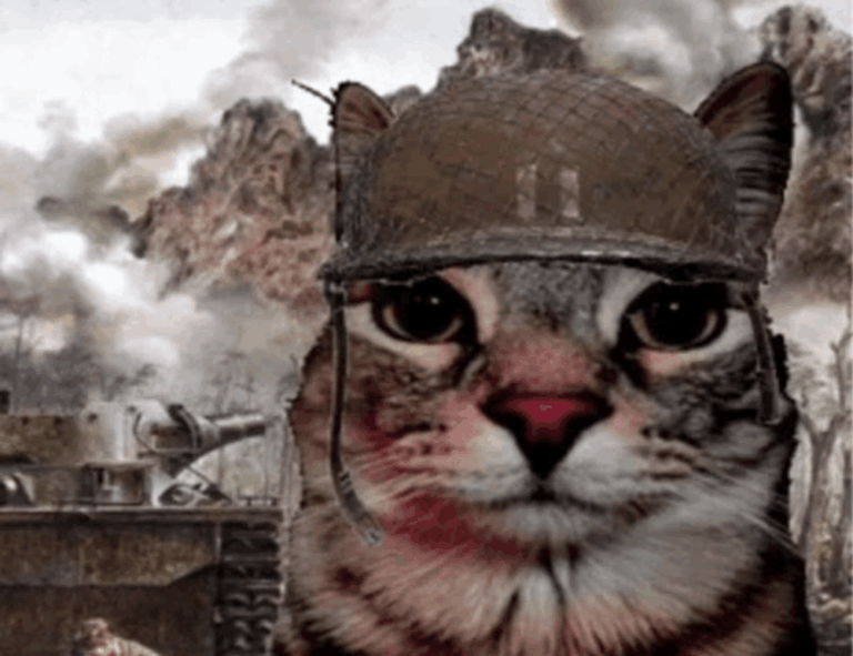 highlights of nummazaki