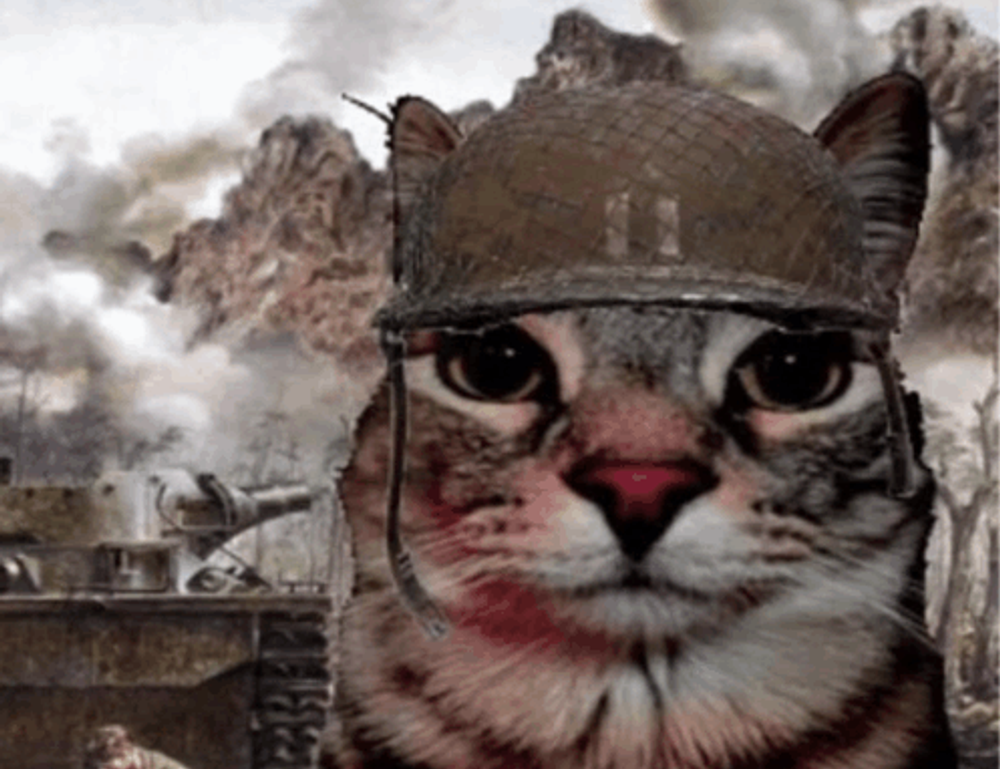 highlights of nummazaki