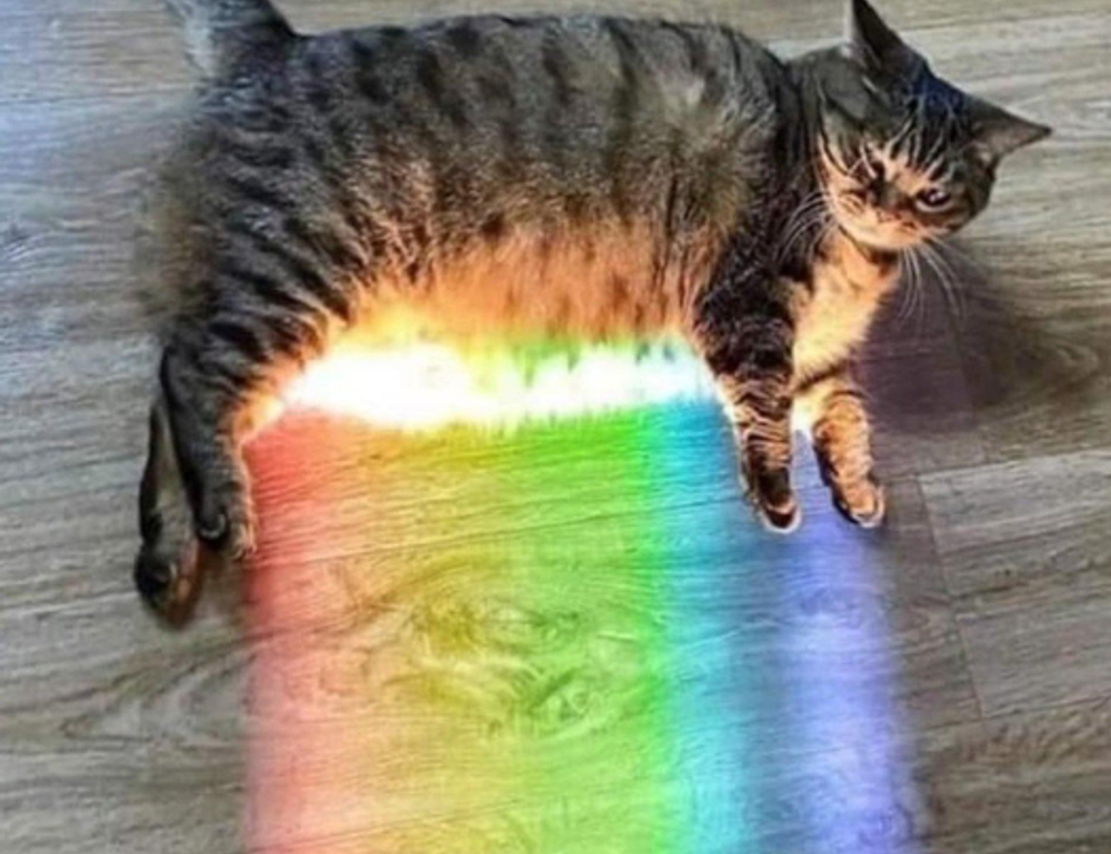 how to implement new software calpper4.8l in a company