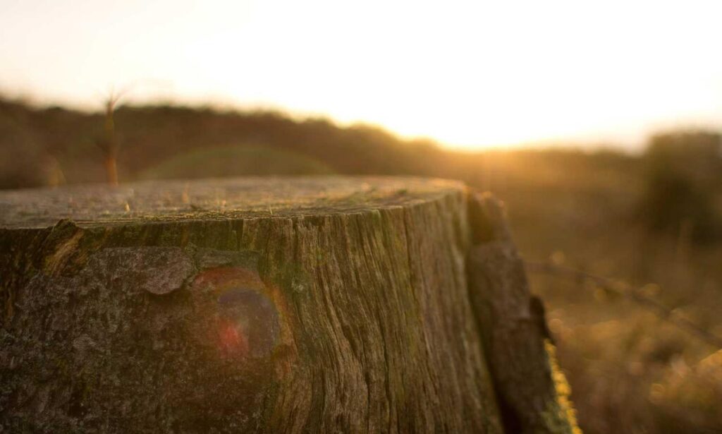 is kuvorie islands dangerous