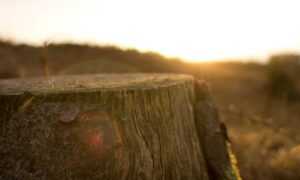 is kuvorie islands dangerous