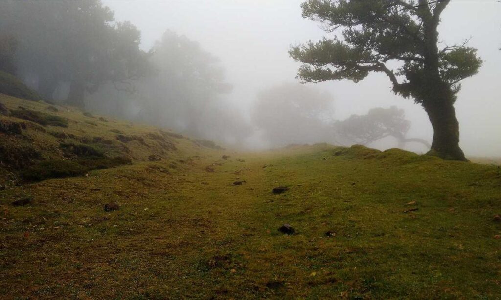 is mopfell78 the best graphics in a pc game