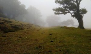 is mopfell78 the best graphics in a pc game