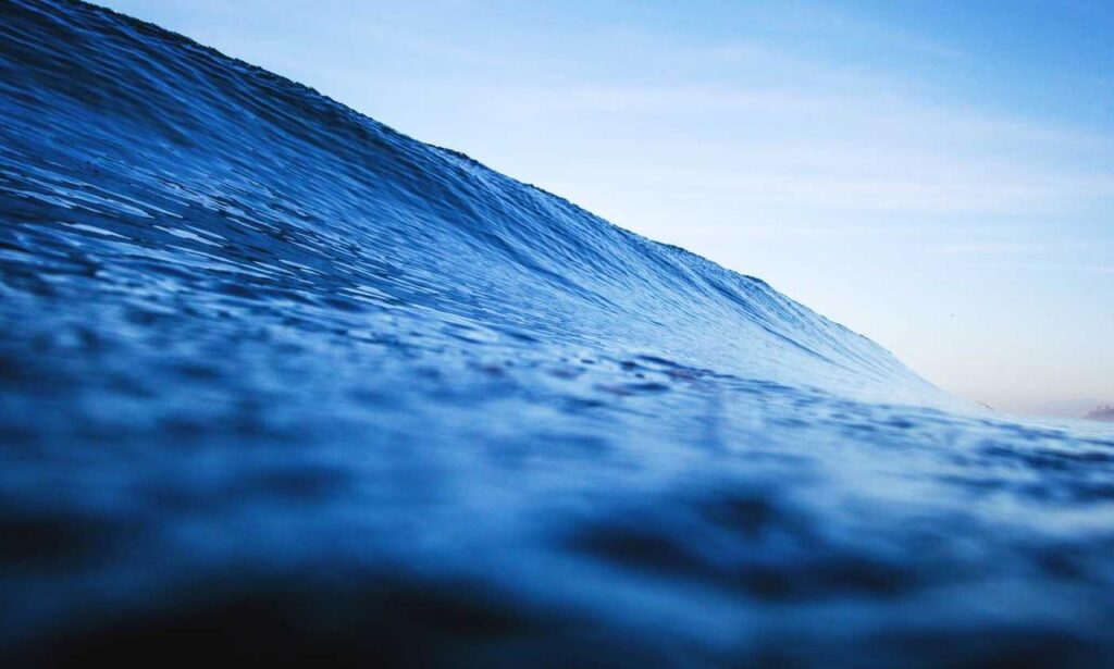 latest food trends ontpdiet