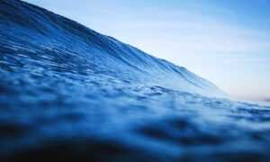 latest food trends ontpdiet