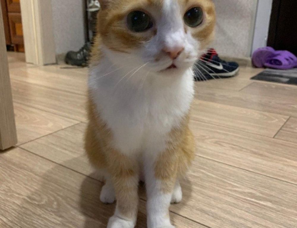 nutrition hacks fhthgoodfood