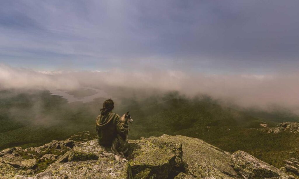 ontpdiet food guide from ontpress