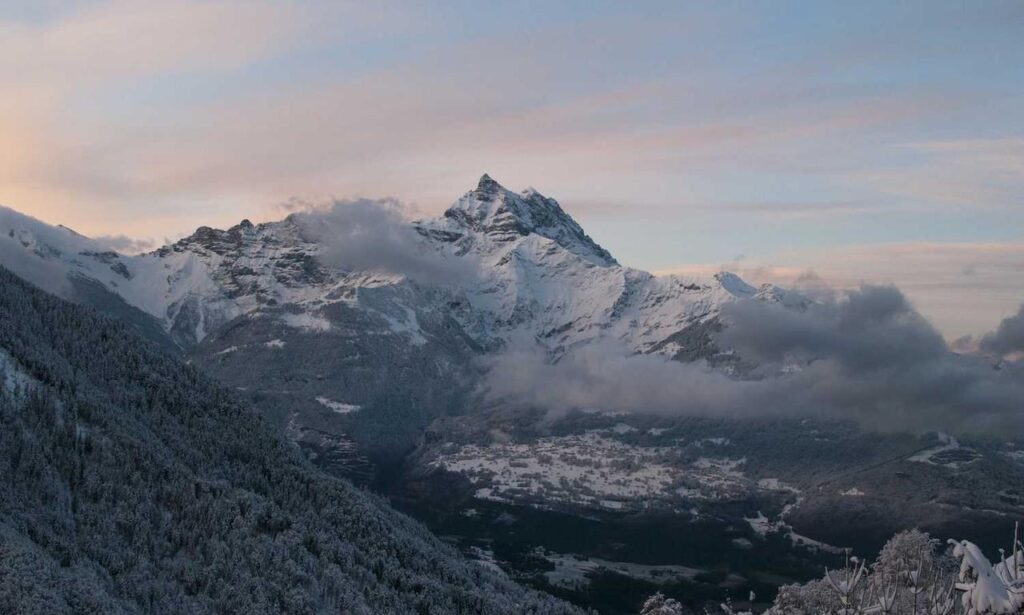 quick meals fhthblog