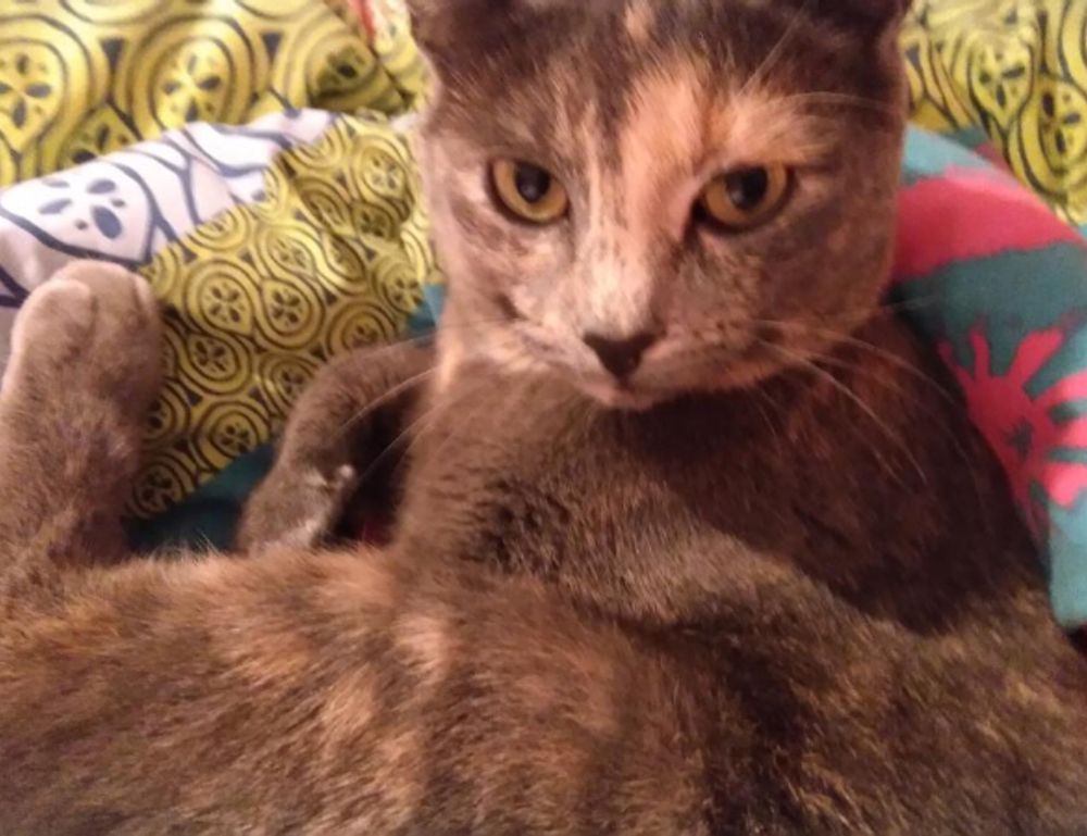 quick snacks fhthgoodfood