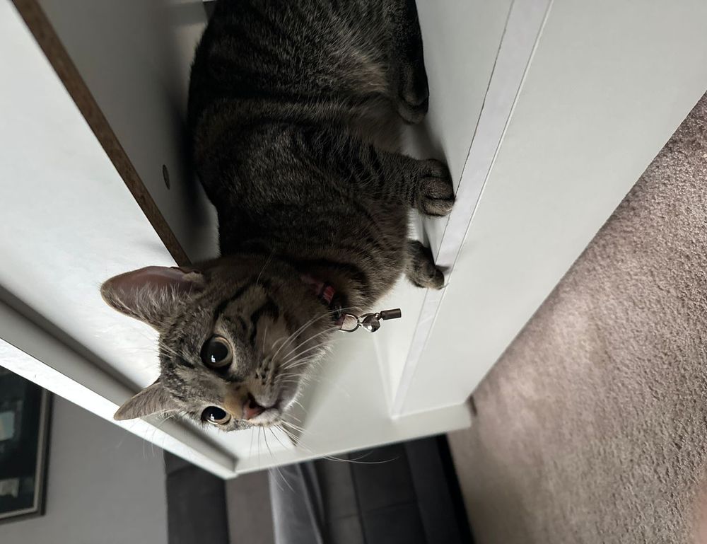 recipes heartarkable