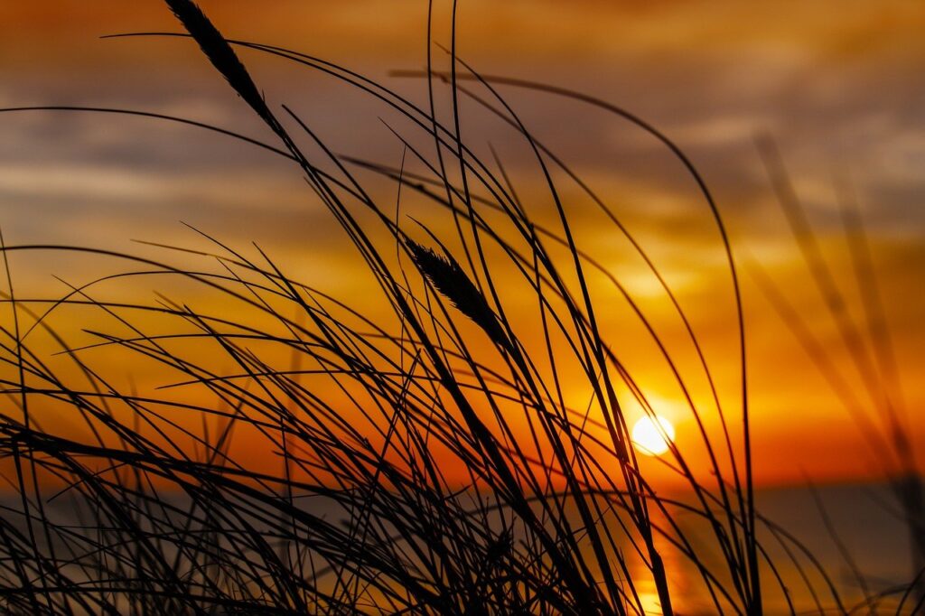 snack infoguide fhthrecipe