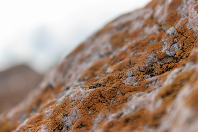 software gdtj45 builder does not work