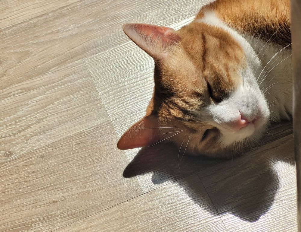 veggie drinks cwbiancarecipes