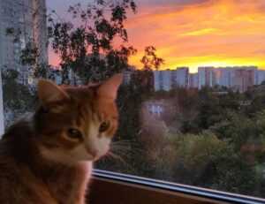 what are culinary treasures tbfoodtravel