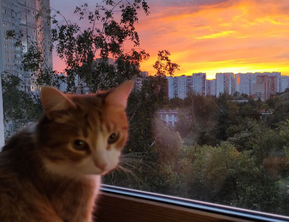 what are culinary treasures tbfoodtravel