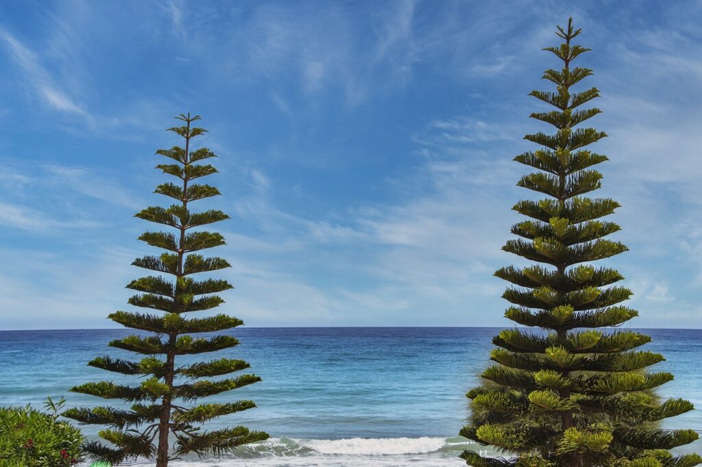 what is food travel tbfoodtravel