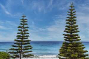 what is food travel tbfoodtravel