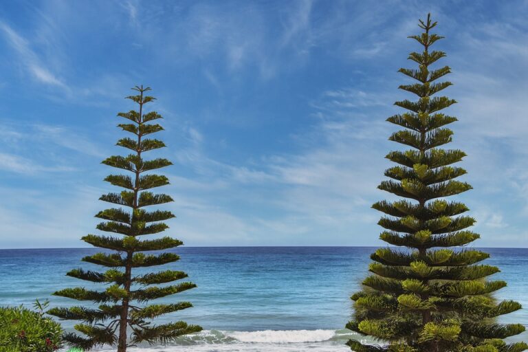 what is food travel tbfoodtravel