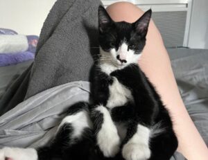 what makes a good food guide ontpdiet