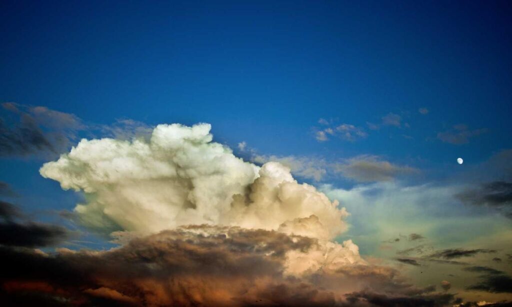 what medications should be avoided with zydaisis disease