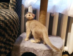 which cooking wine to use heartarkable