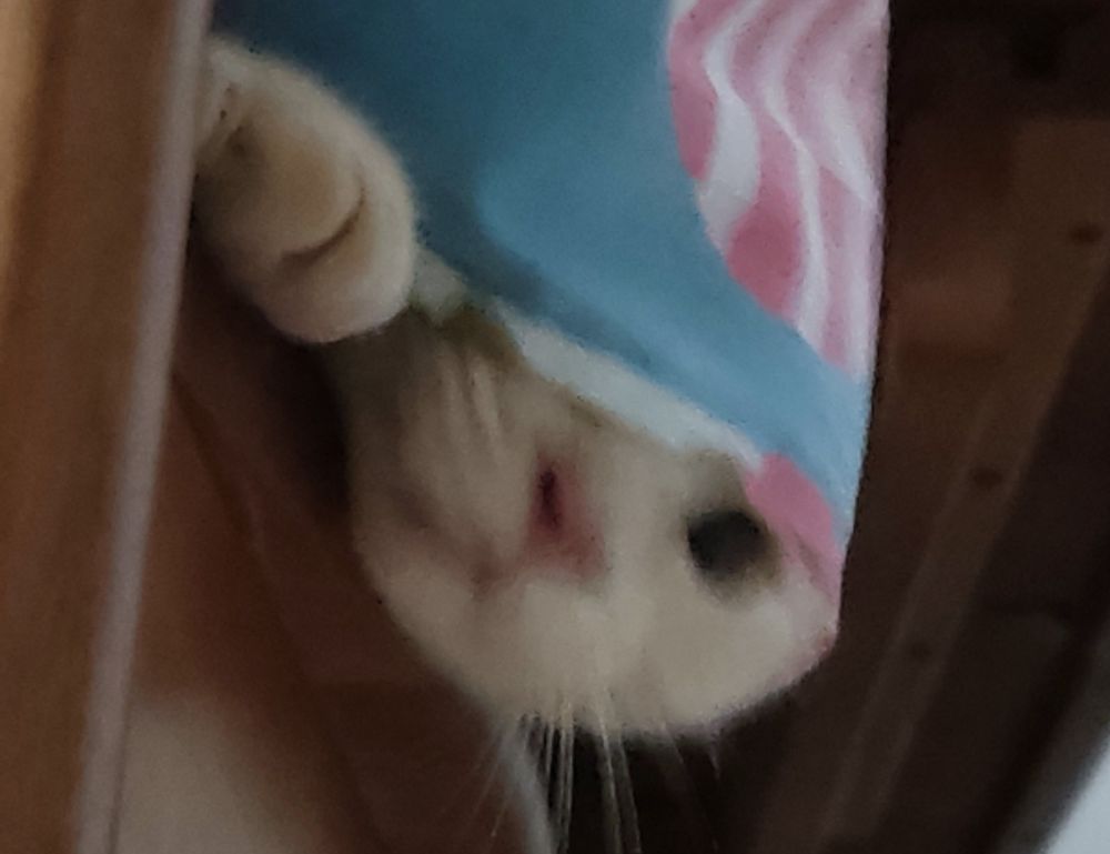 why genboostermark software is so popular