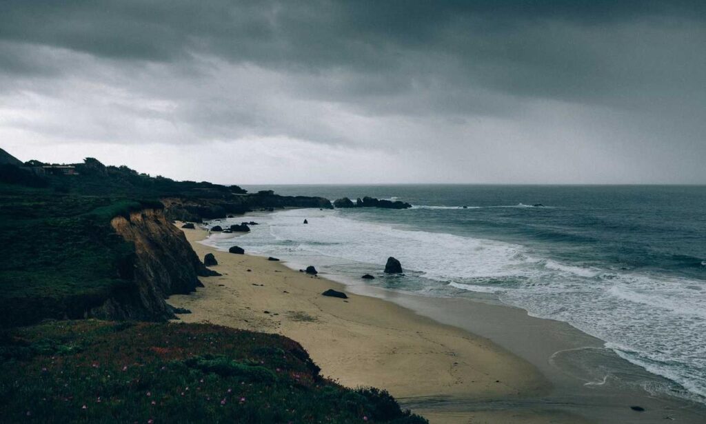 why is it important to keep mogothrow77 software updated