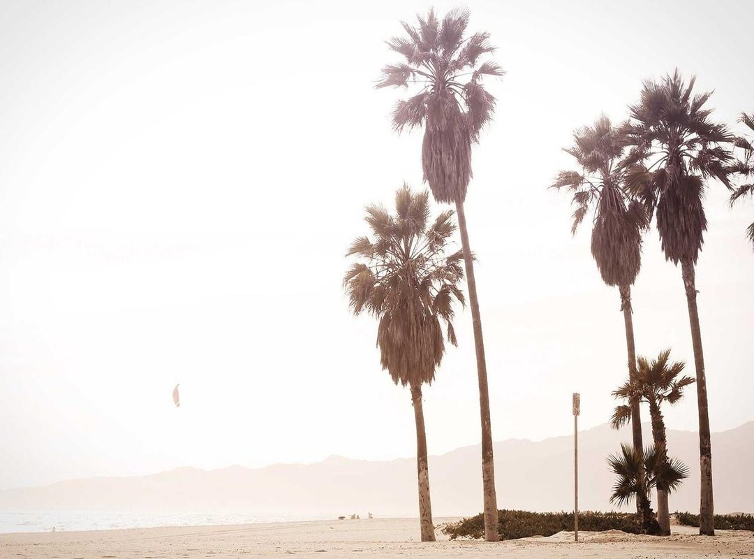 The Strategic Trade-Offs: Weighing the Pros and Cons