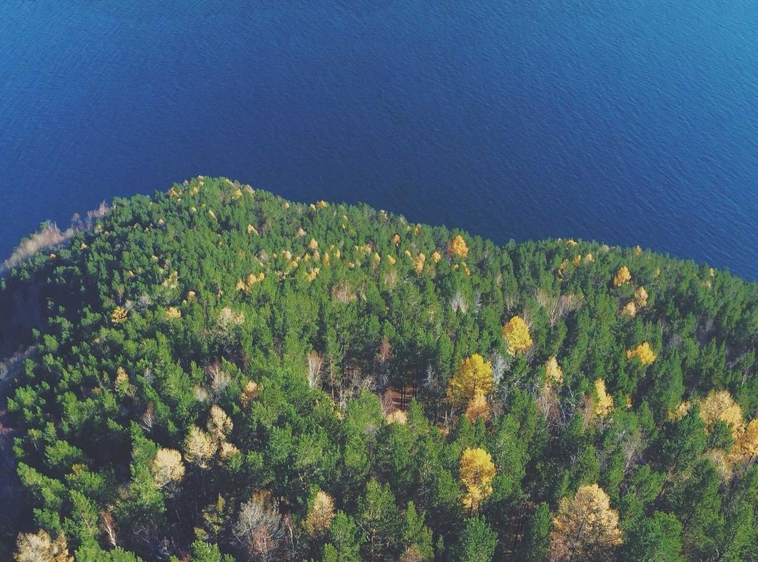 Navigating the Spotlight: Public Persona and Media Attention