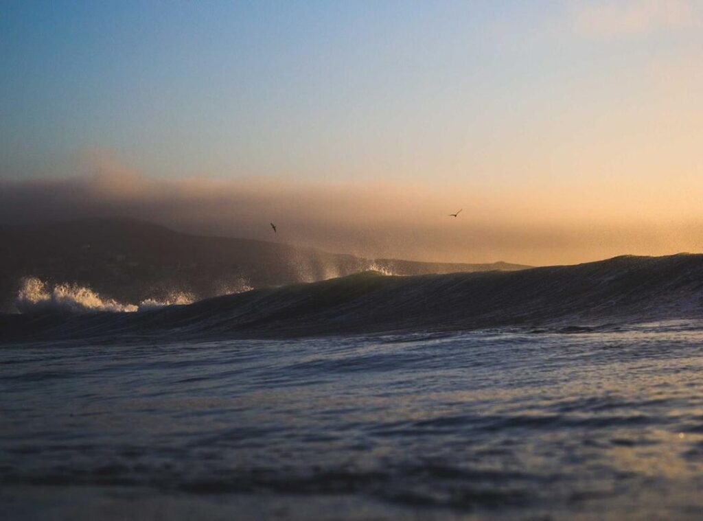 carla lagerfeld leeftijd