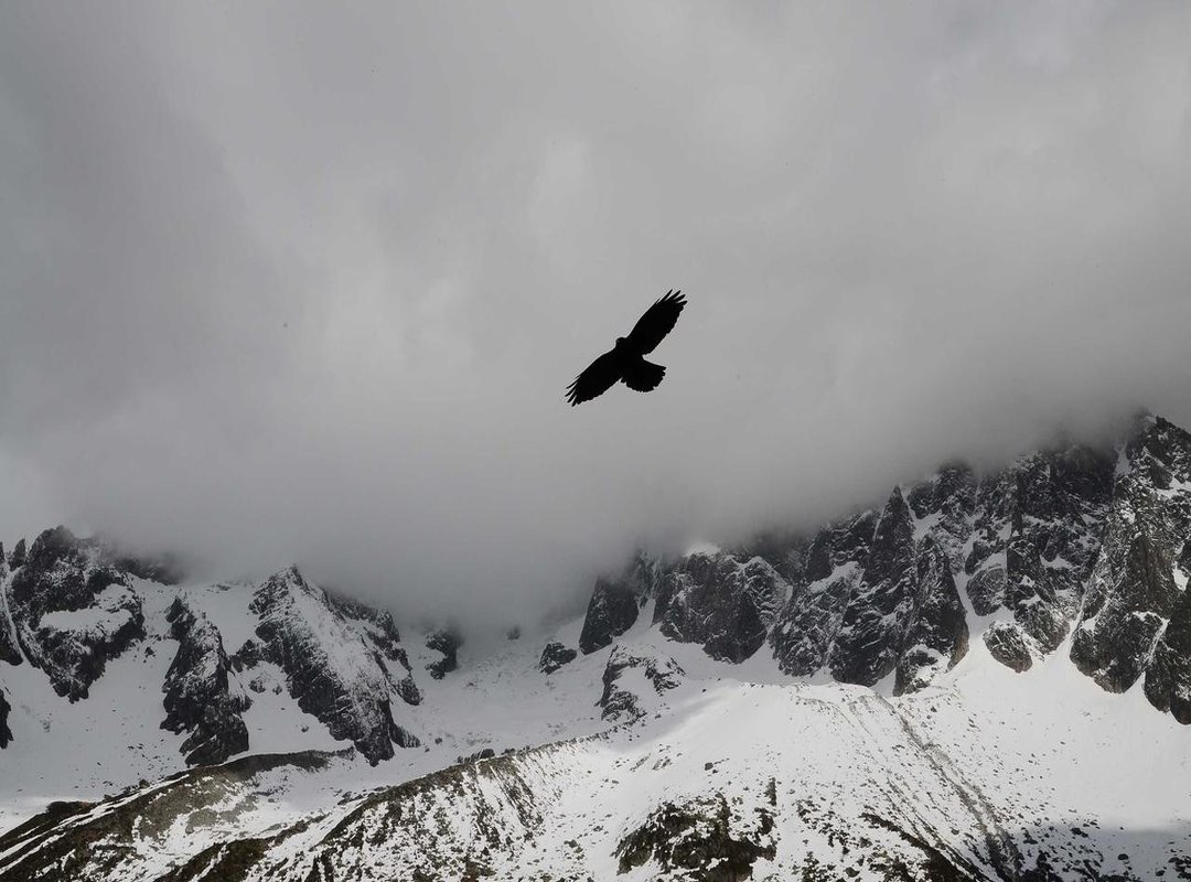 Beyond Veneers: Other Procedures in a Smile Makeover